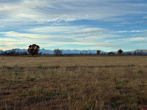 60 Acres of Land for Sale in Montrose, Colorado