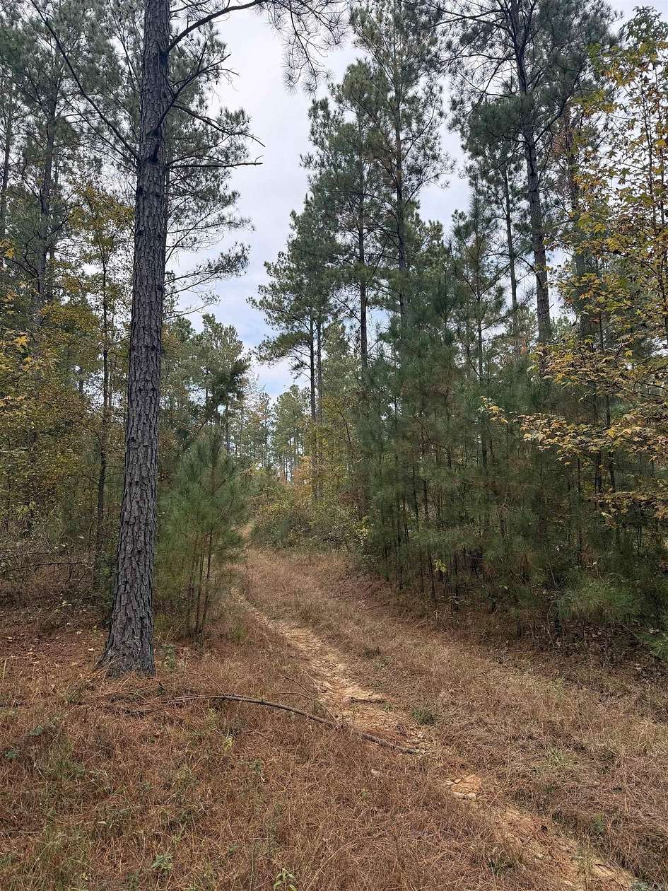 80 Acres of Recreational Land for Sale in Murfreesboro, Arkansas
