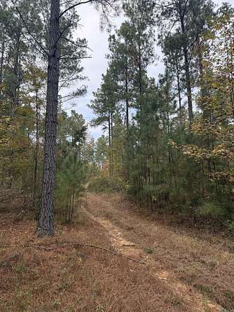 80 Acres of Recreational Land for Sale in Murfreesboro, Arkansas