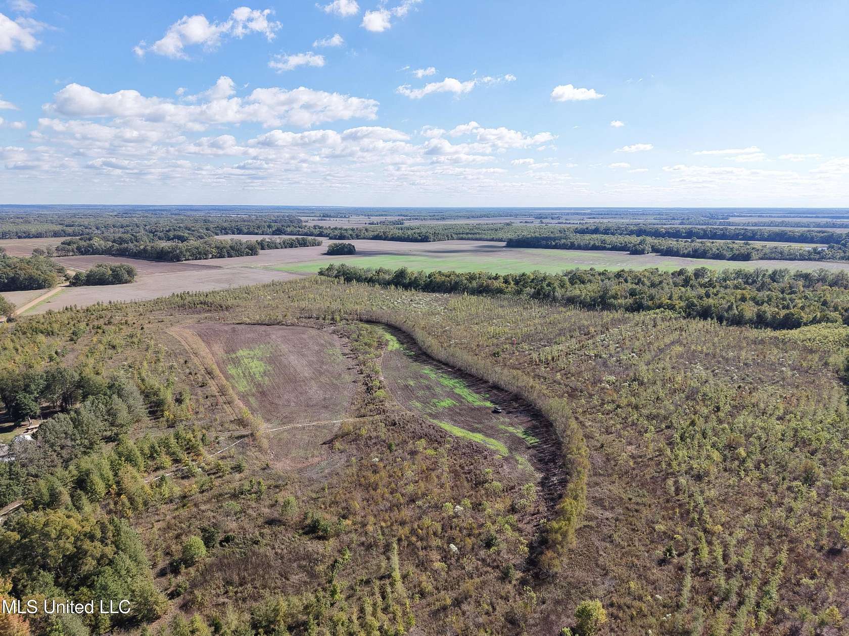 72.5 Acres of Recreational Land for Sale in Dundee, Mississippi