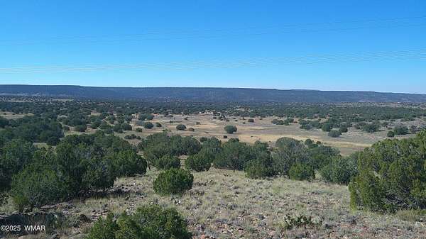 2.3 Acres of Residential Land for Sale in Concho, Arizona