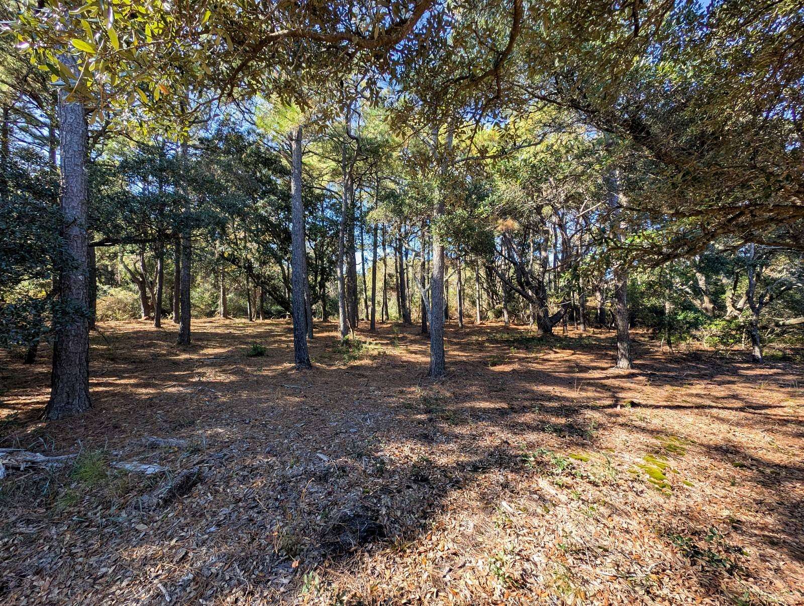 0.33 Acres of Residential Land for Sale in Corolla, North Carolina