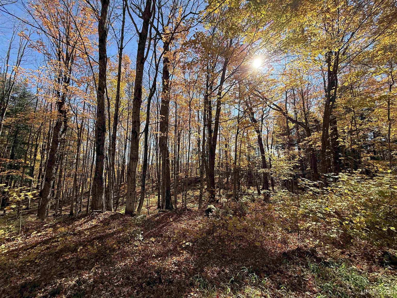 10.2 Acres of Recreational & Residential Land for Sale in Pelkie, Michigan