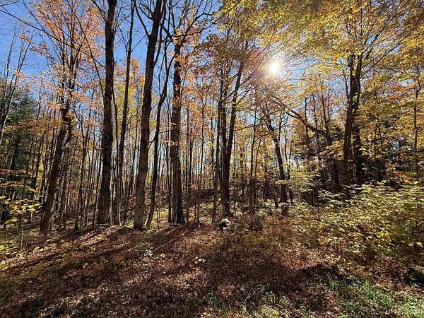 10.2 Acres of Recreational & Residential Land for Sale in Pelkie, Michigan