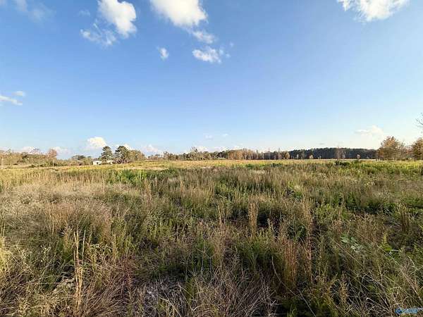 25 Acres of Agricultural Land for Sale in Albertville, Alabama
