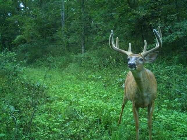 103 Acres of Recreational Land with Home for Sale in Muscoda, Wisconsin