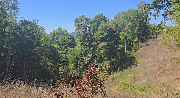 Land for Sale in Pipestem, West Virginia