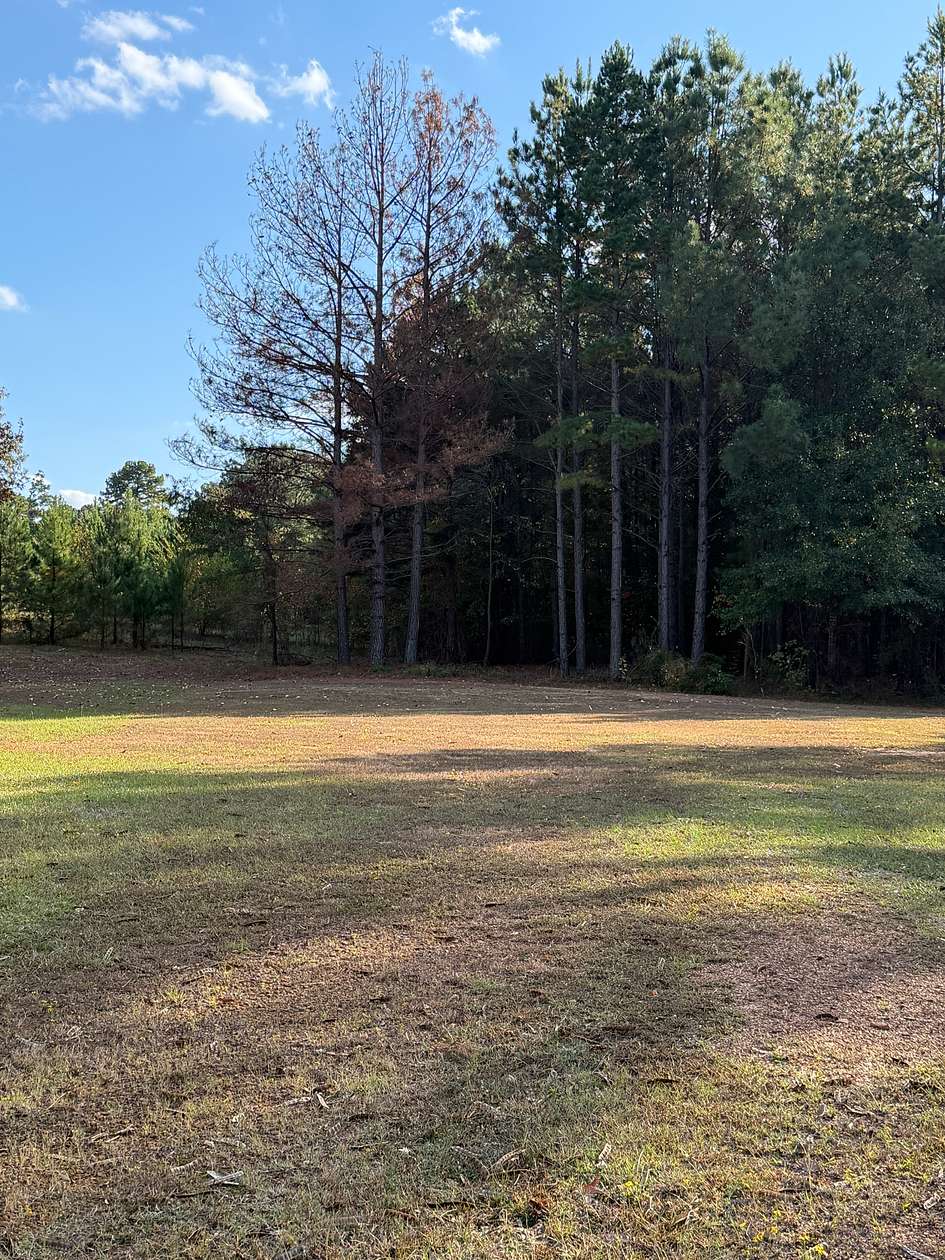 0.26 Acres of Mixed-Use Land for Sale in Atlanta, Texas