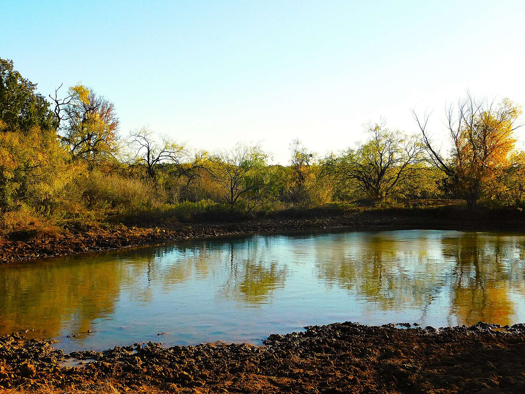 76 Acres of Land for Sale in Brownwood, Texas