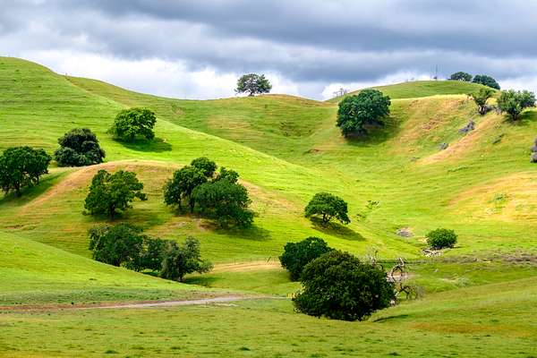 20.6 Acres of Agricultural Land for Sale in Vacaville, California