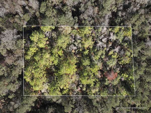 1 Acre of Residential Land for Sale in McLain, Mississippi