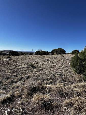 0.34 Acres of Residential Land for Sale in Concho, Arizona