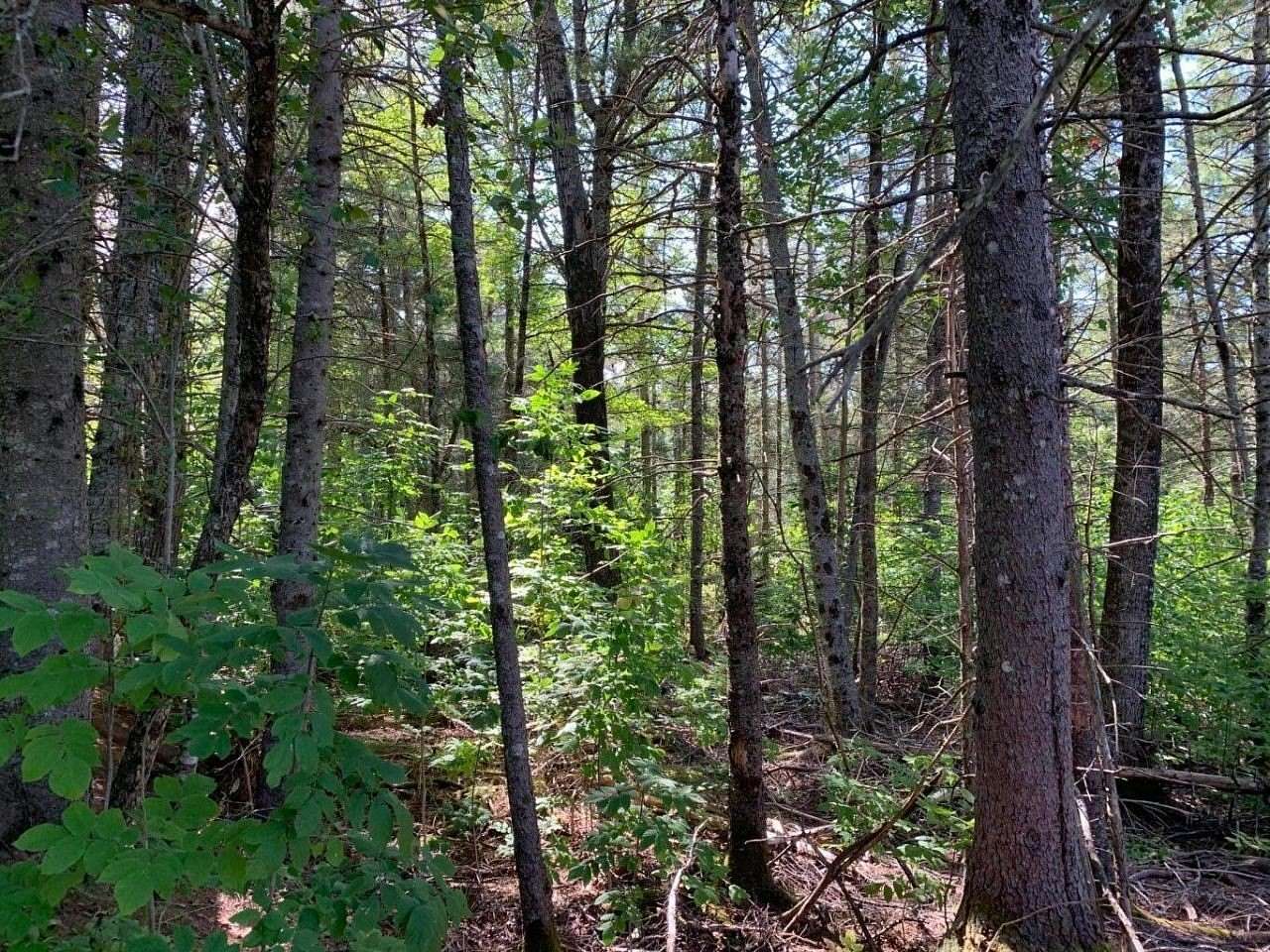 1.5 Acres of Residential Land for Sale in Franklin, Maine