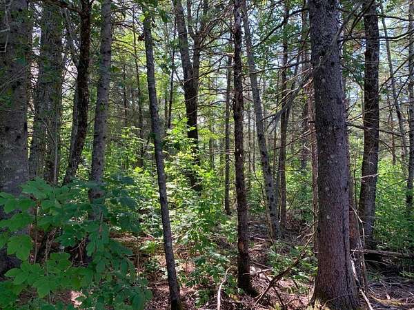 1.5 Acres of Residential Land for Sale in Franklin, Maine