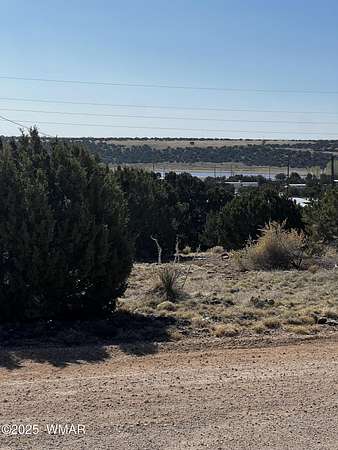 0.41 Acres of Residential Land for Sale in Concho, Arizona