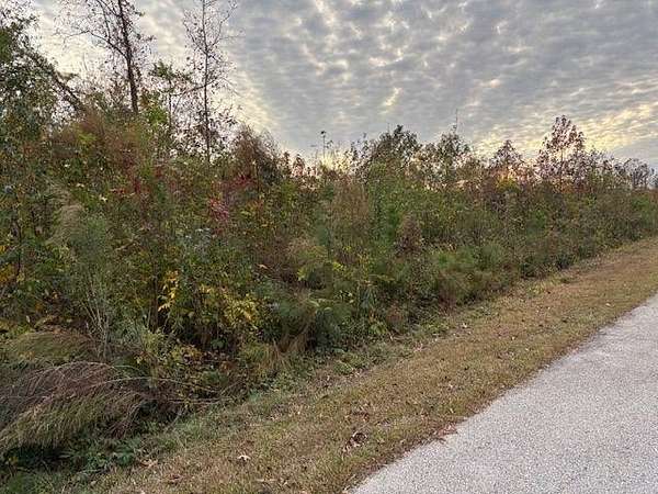 0.5 Acres of Residential Land for Sale in Griffin, Georgia