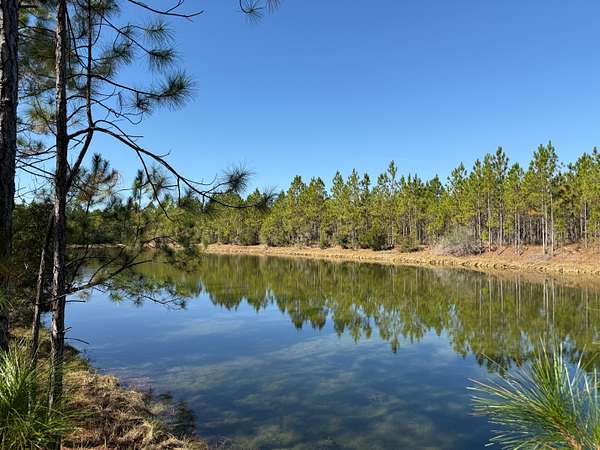 1,633 Acres of Recreational Land for Sale in White City, Florida