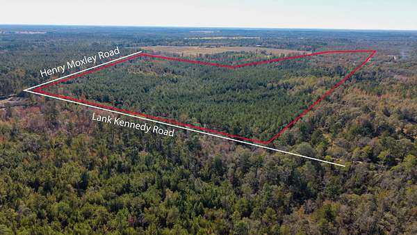 121 Acres of Land for Sale in Cobbtown, Georgia