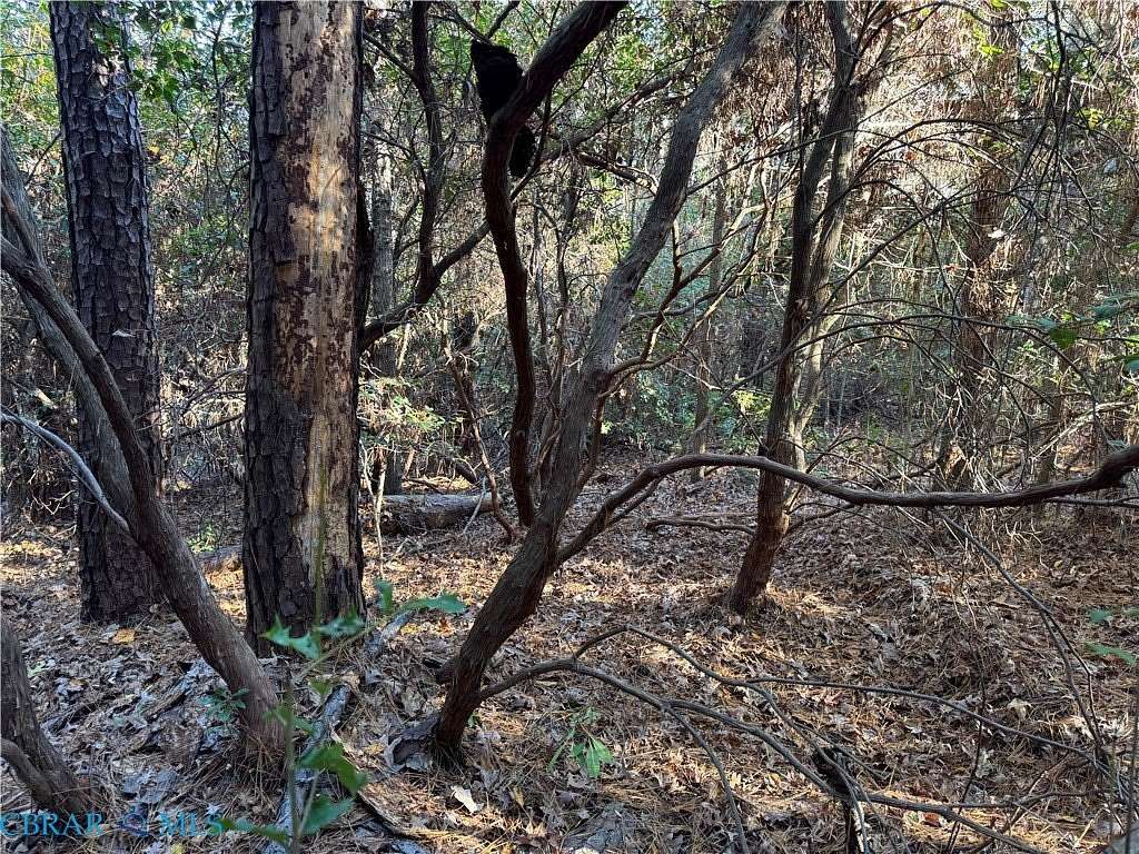 0.51 Acres of Land for Sale in Lancaster, Virginia