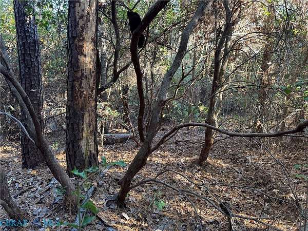 0.51 Acres of Land for Sale in Lancaster, Virginia