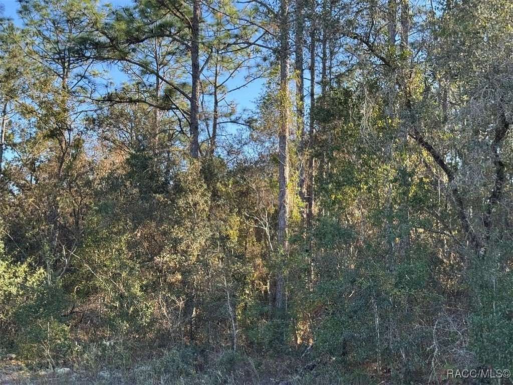 0.23 Acres of Residential Land for Sale in Citrus Springs, Florida