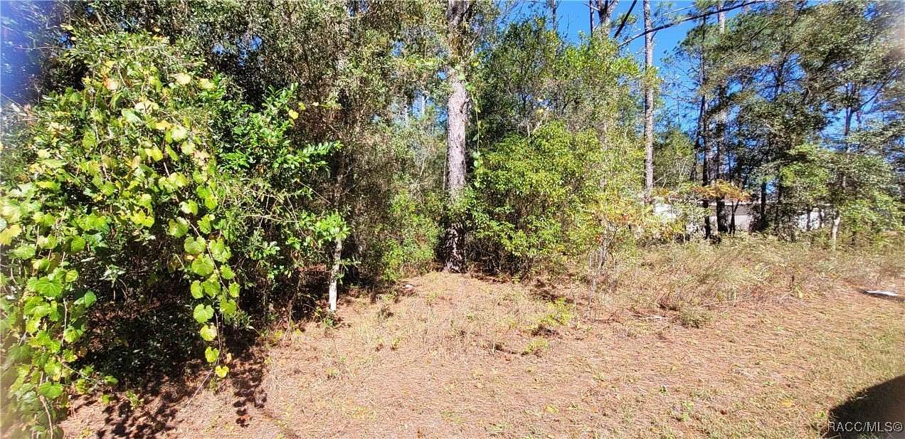 0.23 Acres of Residential Land for Sale in Citrus Springs, Florida