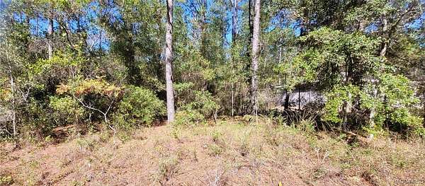 0.23 Acres of Residential Land for Sale in Citrus Springs, Florida