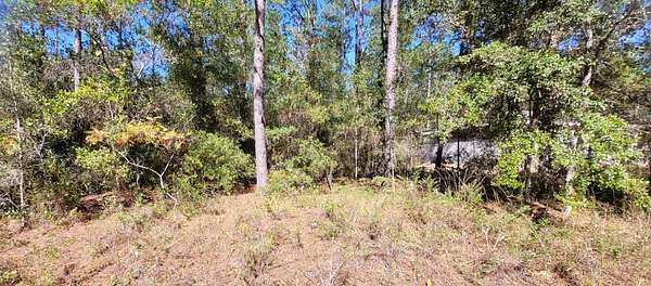 0.23 Acres of Residential Land for Sale in Citrus Springs, Florida