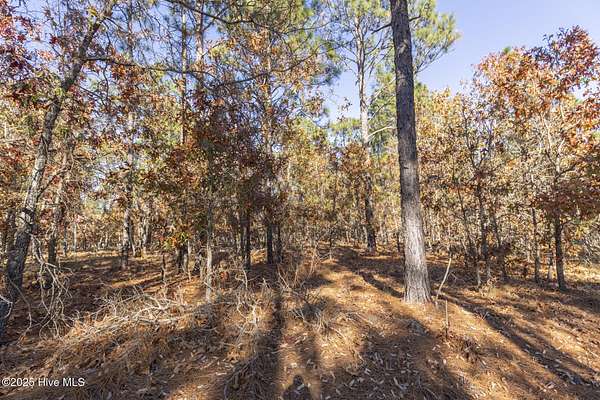 8 Acres of Land for Sale in Carthage, North Carolina