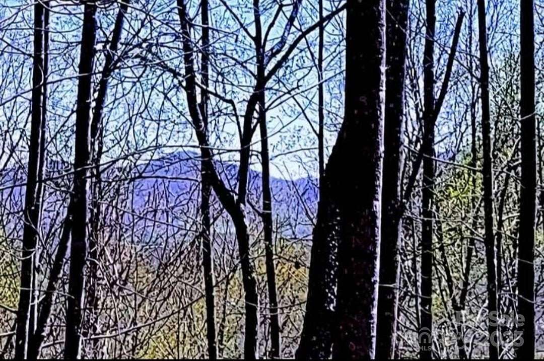 1.22 Acres of Residential Land for Sale in Bostic, North Carolina