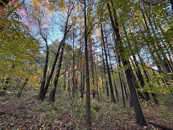 1 Acre of Land for Sale in Somerset, Ohio