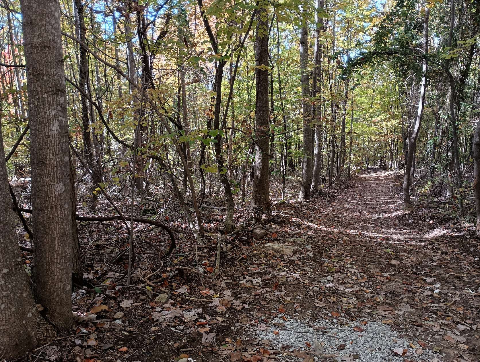 194 Acres of Recreational Land for Sale in Pelham, Tennessee