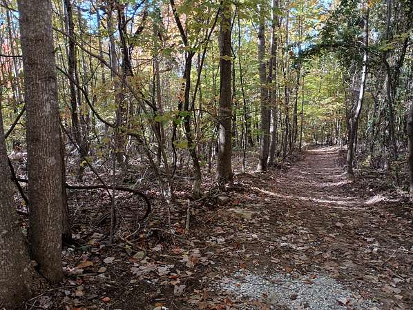 194 Acres of Recreational Land for Sale in Pelham, Tennessee