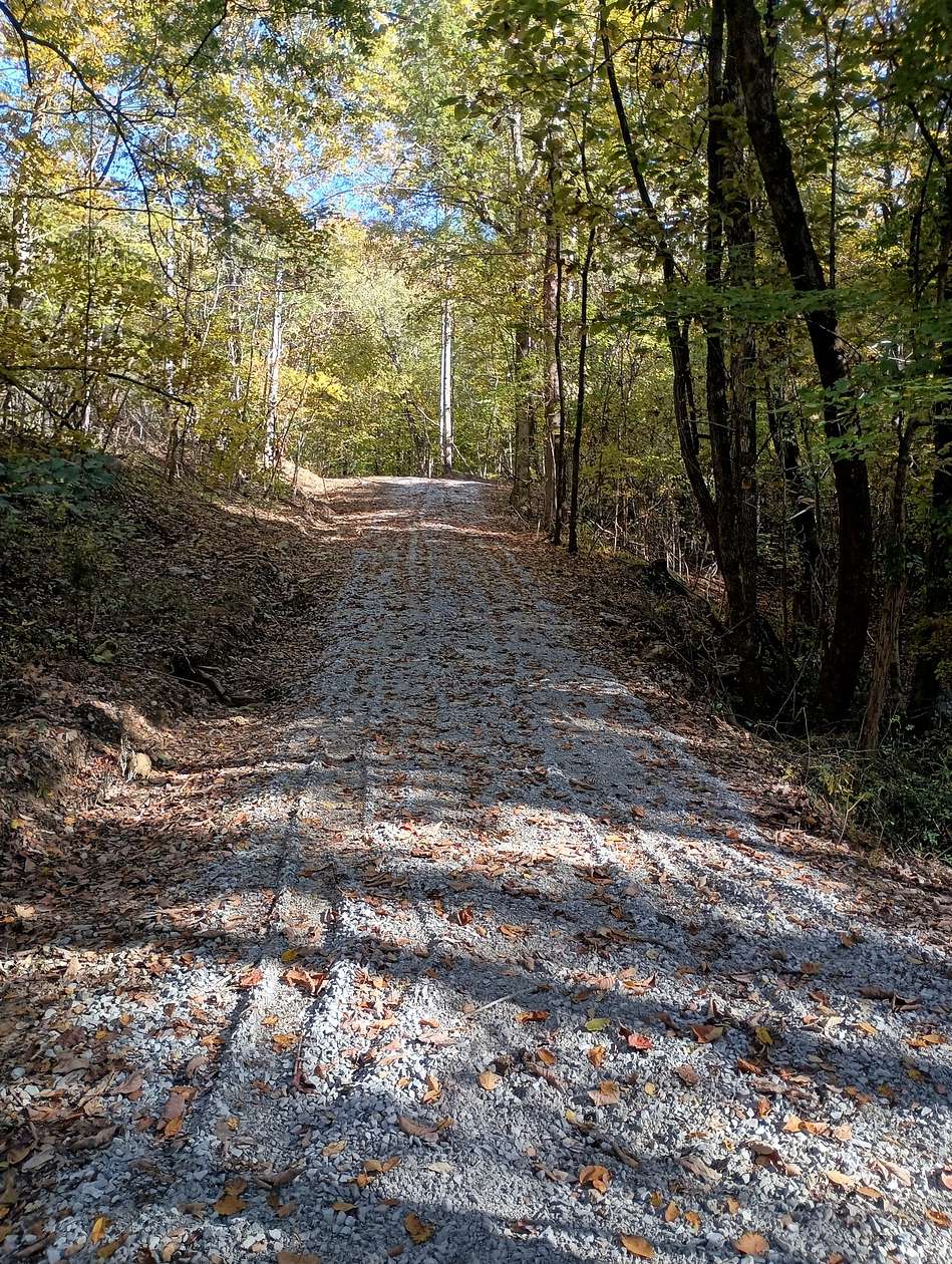 91.5 Acres of Recreational Land for Sale in Pelham, Tennessee