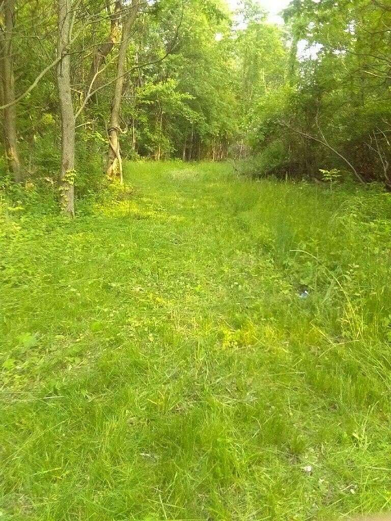 1 Acre of Residential Land for Sale in Lawrence, Michigan