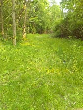 1 Acre of Residential Land for Sale in Lawrence, Michigan