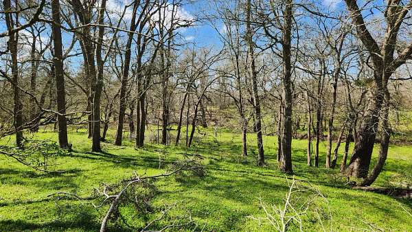 55 Acres of Land for Sale in Brookshire, Texas