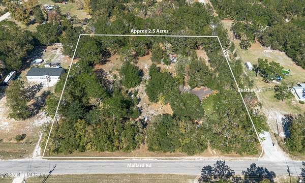 1.29 Acres of Residential Land for Sale in Middleburg, Florida