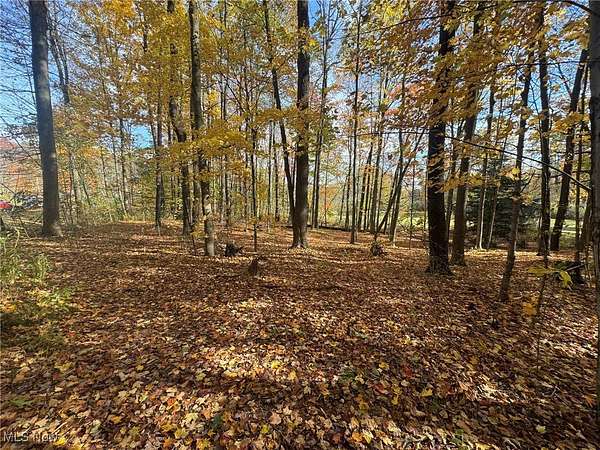 3.76 Acres of Land for Sale in Mantua, Ohio