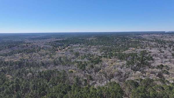 100 Acres of Land for Sale in Pointblank, Texas