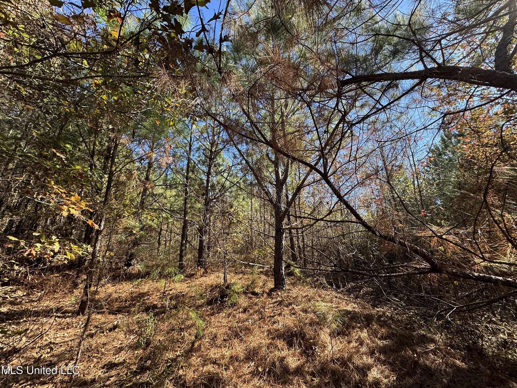 137 Acres of Recreational Land for Sale in De Kalb, Mississippi