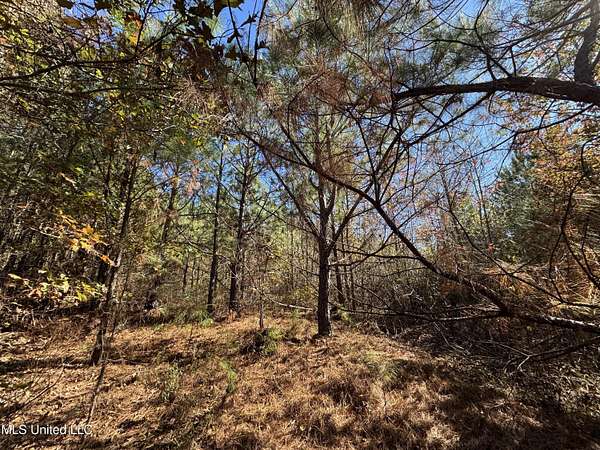 137 Acres of Recreational Land for Sale in De Kalb, Mississippi