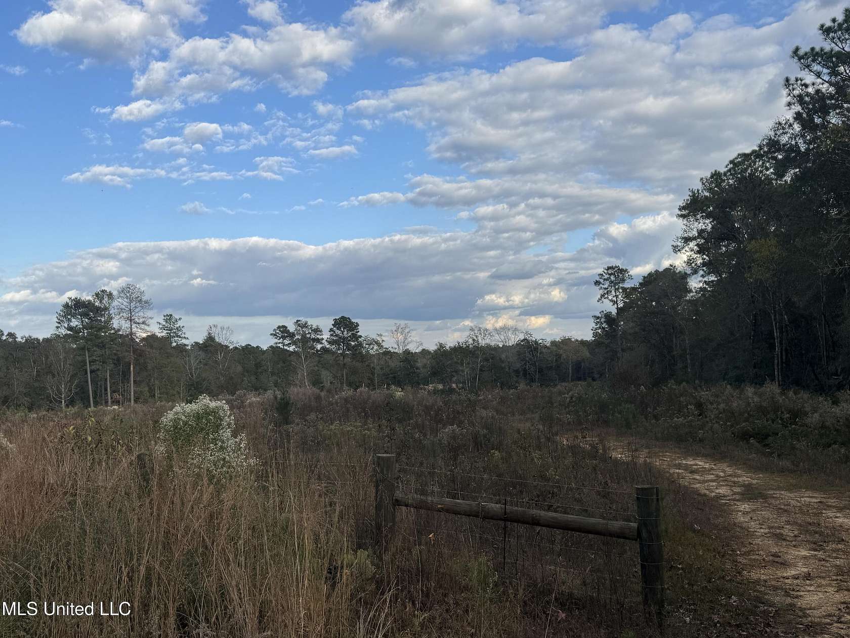 29.6 Acres of Land for Sale in Wiggins, Mississippi