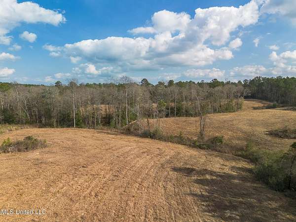29.6 Acres of Land for Sale in Wiggins, Mississippi