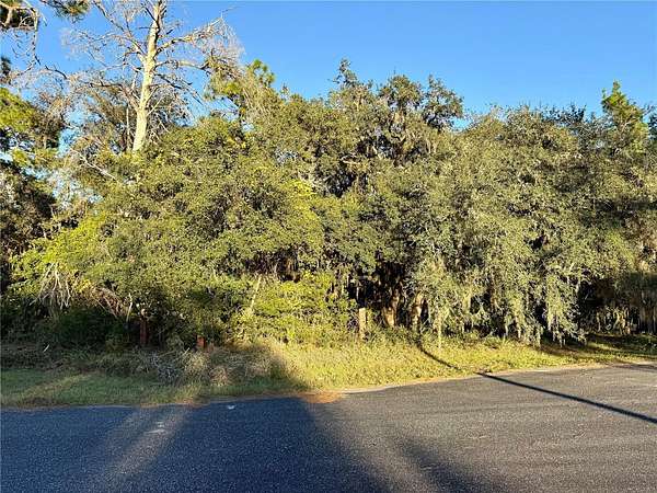 1 Acre of Residential Land for Sale in Eustis, Florida