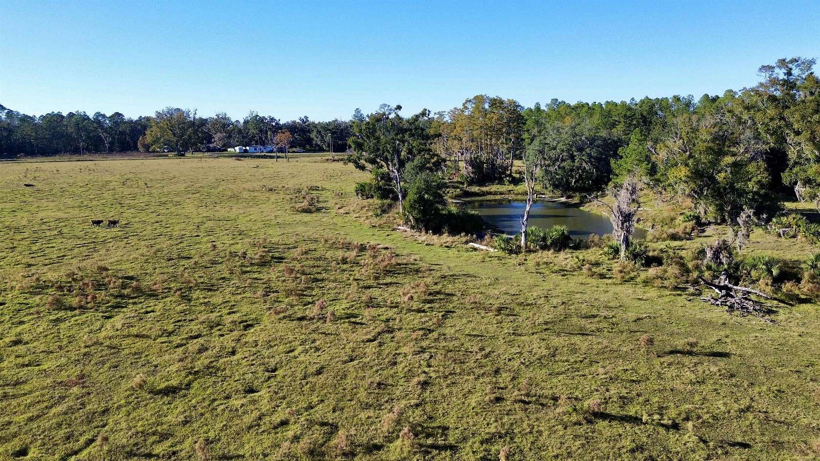 53.9 Acres of Recreational Land & Farm for Sale in Perry, Florida