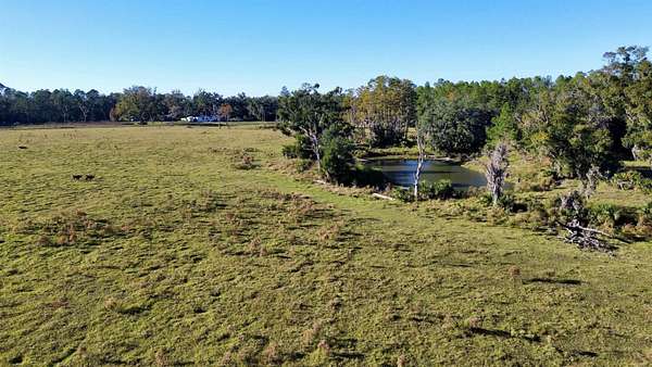 53.9 Acres of Recreational Land & Farm for Sale in Perry, Florida