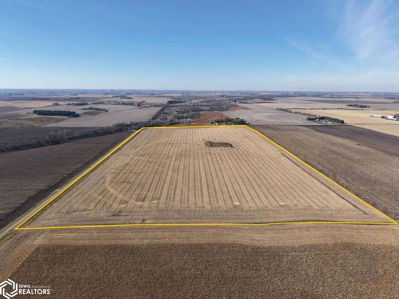 80 Acres of Agricultural Land for Auction in Lamberton, Minnesota
