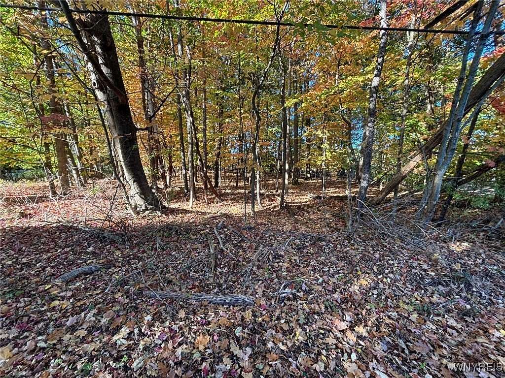 2 Acres of Improved Residential Land for Sale in Hamburg, New York