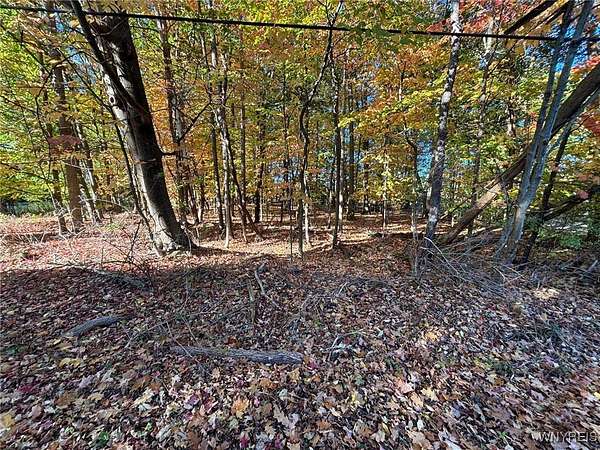 2 Acres of Improved Residential Land for Sale in Hamburg, New York